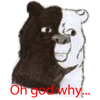 😢 Oh god why. urso, Monokuma, Danganronpa, meme, engraçado, chocado, angustiado telegram sticker