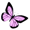 🦋