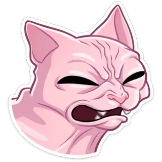 🥴 Katze, Sphynx, lustig, Meme, Aufkleber, wütend, Ausdruck telegram sticker