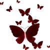 ๐ฆ