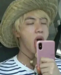 🏵️ Jin kpop, music, singer, person, selfie, hat, cute, celebrity telegram sticker