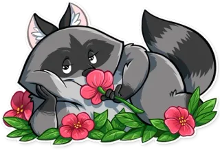 🌺 너구리, 꽃, 귀여운, 동물, 스티커 telegram sticker