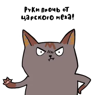 Laksheri_kotaksheri telegram stickers