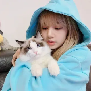Lisa ❤️ @chxin_user telegram stickers