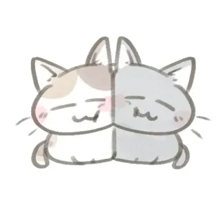 🌷 chat, chats, chaton, mignon, animal, animal de compagnie whatsapp sticker