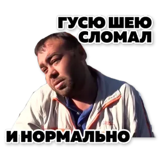 🦆 ГУСЮ ШЕЮ СЛОМАЛ
И НОРМАЛЬНО мужчина, русский, гусь, шея, обычный telegram sticker
