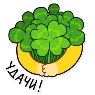 🍀 УДАЧИ! trifoglio, fortuna, emoji, russo, buona fortuna, quadrifoglio telegram sticker