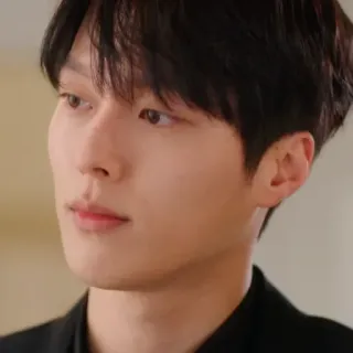 🦊 hombre, retrato, coreano, actor telegram sticker