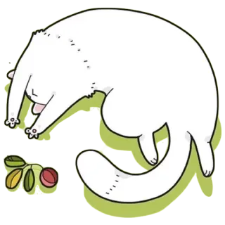 😴 gato, animal, fofo, engraçado, preguiçoso, branco, desenho animado, adesivo whatsapp sticker