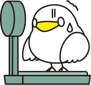 😨 pássaro, peso, balança, animal, fofo, kawaii telegram sticker