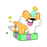 🎁 Hund, Corgi, Geburtstag, Party, Feier, süß, Welpe, Tier telegram sticker