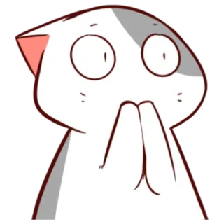 👀 gato, dibujos animados, lindo, anime, suplicante, rogando telegram sticker