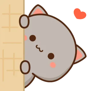 👀 Katze, niedlich, Cartoon, Aufkleber, Tier, kawaii telegram sticker