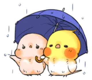 ☂ oiseaux, parapluie, mignon, pluie, kawaii, animaux, dessin animé telegram sticker