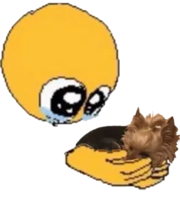 🐶 emoji, chorando, cachorro, triste, lágrimas, emocional, animal de estimação whatsapp sticker