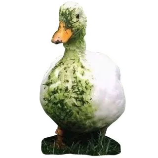 🦆 утка, животное, зеленый, белый telegram sticker