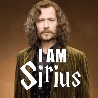 🧔 Sirius Black Harry Potter I AM Sirius sirius black, harry potter, wizard, gary oldman, marauder telegram sticker