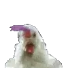 🐓