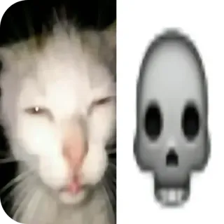 🤲 猫, 头骨, 表情符号, 动物, 梗 telegram sticker