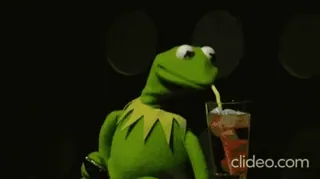 🥤 Kermit кермит, маппет, лягушка, пьет, мем, кукла telegram sticker