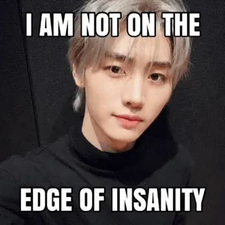 😍 I AM NOT ON THE EDGE OF INSANITY meme, funny, insanity, phrase, person, kpop telegram sticker