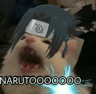 🌟 Sasuke Naruto NARUTOOOOOOOOOO cat, anime, meme, naruto, sasuke telegram sticker