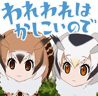 😤 われわれはかしこいので 애니메이션, 올빼미, 만화, 일본어, 스티커 telegram sticker