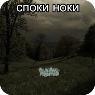 😪 СПОКИ НОКИ cats, kittens, peaceful, cute, night, forest, dark whatsapp sticker