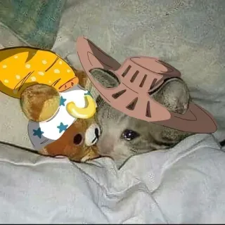 🥺 chat, animé, chapeau, triste telegram sticker