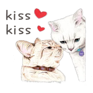😽 고양이, 사랑, 하트, 동물, 귀여운, 애완 동물, 스티커 telegram sticker