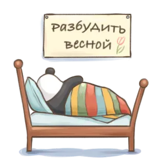 🐻 Разбудите весной sleeping, bed, spring, flowers, tulip telegram sticker