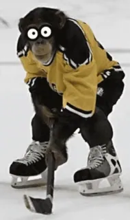 🏒 Affe, Hockey, Sport, Lustig, Tier whatsapp sticker