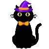 🐈⬛