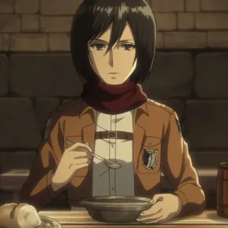 🗡 Mikasa Ackerman Attack on Titan anime, girl, eating, soldier, attack on titan, mikasa, ackerman telegram sticker