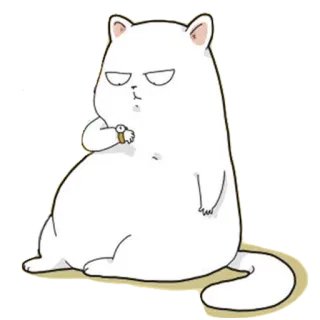 😾 gato, animal, branco, fofo, desenho animado, animal de estimação, doméstico whatsapp sticker