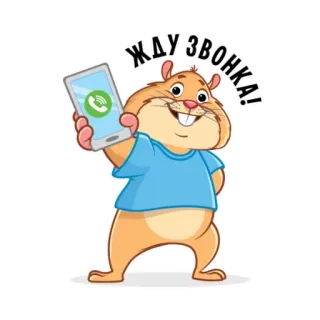📞 ЖДУ ЗВОНКА! hamster, phone, waiting, call, animal, cartoon telegram sticker