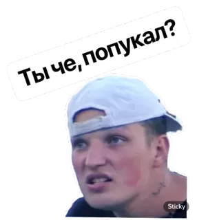 🤨 Ты че, попукал? telegram sticker