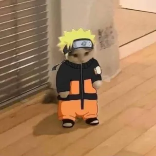 🥷 Naruto cat, Naruto, anime, manga, cosplay, funny, cute telegram sticker