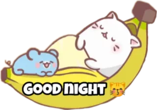 😴 Good Night 고양이, 쥐, 바나나, 잘 자요, 잠, 귀여운, 만화 telegram sticker