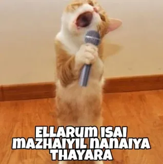 Name thonala telegram stickers