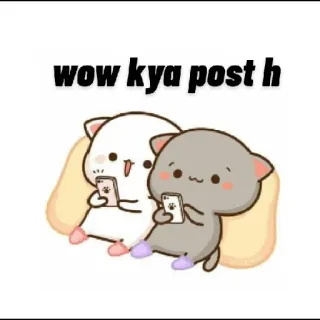 🤩 wow kya post h gato, dibujos animados, animales, lindo, mensajes, meme whatsapp sticker