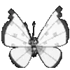 ☆ @emoji1 ★ telegram emojis 🦋