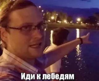 🖕 Иди к лебедям telegram sticker