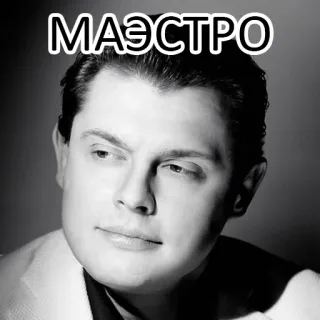 😇 МАЭСТРО Meister, Mann, Porträt, Schwarzweiß whatsapp sticker