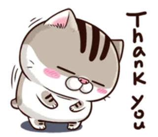 🙂 Thank You Katze, Danke, Süß, Tier, Gruß, Animiert, Sticker whatsapp sticker
