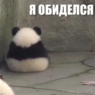 😒 Я ОБИДЕЛСЯ panda, cute, sad, upset, animal, baby panda telegram sticker