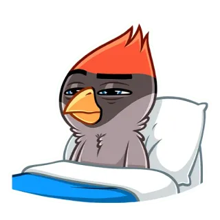 😴 Vogel, Kardinal, verschlafen, Bett, Cartoon telegram sticker