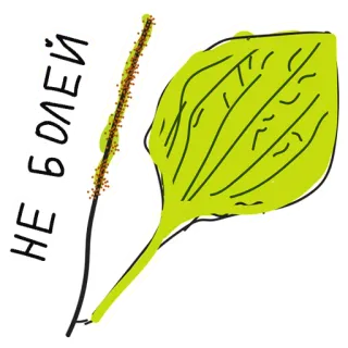 🤒 НЕ БОЛЕЙ pisang tanduk, tanaman, kesehatan, obat, alam telegram sticker