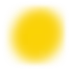 🌕