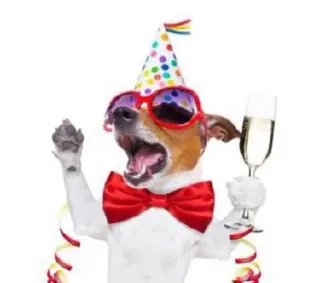 🌟 chó, tiệc, lễ kỷ niệm, ngón giữa, thô lỗ, rượu sâm panh telegram sticker